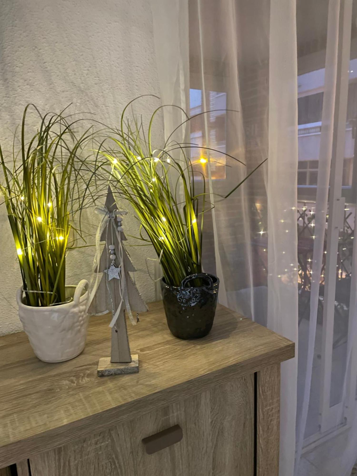 Flamenco Chill Apartment تورّيفيِخا المظهر الخارجي الصورة